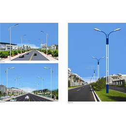 道路灯_道路灯 50w led_中坤照明(推荐商家)