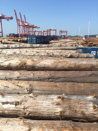 木材加工-海南嘉航木业-木材加工厂