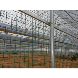 铁丝网围栏-荣成养殖围网-养殖围网厂家