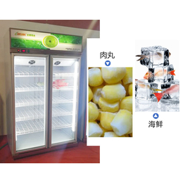 安康四门冷冻柜,达硕制冷设备生产,四门冷冻柜厂家