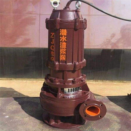 潜污泵参数,鸿达泵业(在线咨询),淄博潜污泵