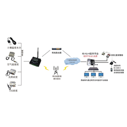 建大仁科河南在线农业大棚无线监测方案