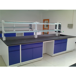实验室家具定制厂家、山西天朗实验台、实验室家具