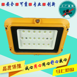 SZSW8150LED泛光灯3年质保LED灯