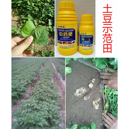 拜农生物|滁州中医农业|国内中医农业