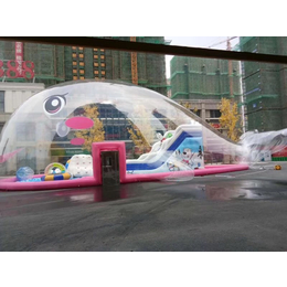 粉色鲸鱼岛儿童游乐项目出租透明大鲸鱼充气乐园租赁