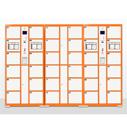 智能寄存柜型号,胶州智能寄存柜,正合文件柜现货充足(查看)