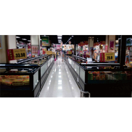 超市冷冻柜厂家供应-比斯特冷冻设备-汕尾超市冷冻柜厂家