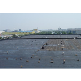 重庆水池防水补漏施工,红牡丹防水(在线咨询)