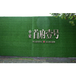 武汉1.0cm厚 军运会绿草皮现货 围挡宣传广告草坪围墙