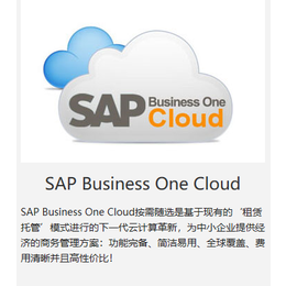 玻璃制造厂ERP管理软件 贸易行业ERP解决方案选华智SAP