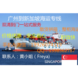广州到新加坡海运散货拼箱整柜海运双清送货到门一站式服务
