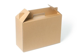 纸盒包装厂-家一家包装-东莞纸盒
