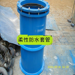 刚性防水套管标准-晋中防水套管-瑞海管道(查看)