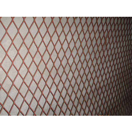 镀锌钢板网尺寸-渤洋丝网(在线咨询)-镀锌钢板网