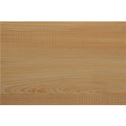 泉金木业(图),桐木生态板生产厂家,桐木生态板
