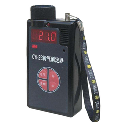 CYH25型氧气测定仪 本安型氧气测定器厂家*价格优惠
