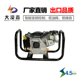 重庆大漠森电动车增程器公司供应汽油发电机48v60v72v