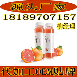 双柚果汁酵素瓶装代加工复合酵素饮品oem贴牌加工灌装生产