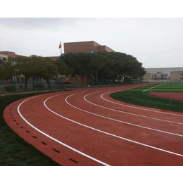 安徽万向运动建设公司(图)-400米塑胶跑道-合肥塑胶跑道