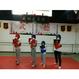 沙坪坝区武术培训|小学生 武术培训|威林武术(****商家)