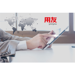 天津新客网络(图)、财务用友软件价格、财务用友软件
