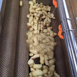 土豆清洗机价格-诚达食品机械-土豆清洗机