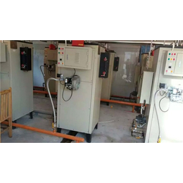 中邦气化炉安装、中邦气化炉(在线咨询)、吉林中邦气化炉