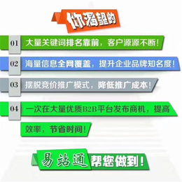 雷迅在线(图)-网络推广软件-新泰网络推广