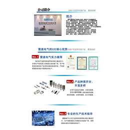 南京雷速电气供应商|LESOON-DFP-032X
