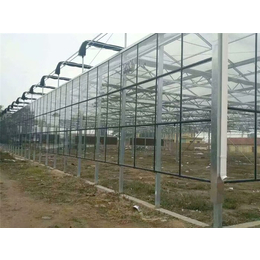 青州瀚洋农业|玻璃大棚|玻璃大棚设备