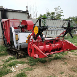 青储机 履带式玉米秸秆青储机 小型牧草粉碎机 大型铡草机