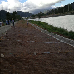 防洪堤坝加筋生态毯-生态毯-生态修复绿化毯