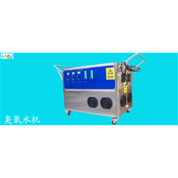 广州蓝奥臭氧*(图)|水处理臭氧水机厂家|臭氧水机厂家