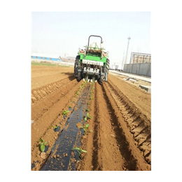 蔬菜种植移栽机吧|青州共创农机(在线咨询)|移栽机吧