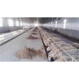 羊用水泥漏粪板模板-福霖养殖(在线咨询)-水泥漏粪板