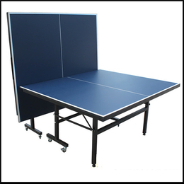 乒乓球桌-湘奥体育【贴心服务】-乒乓球桌价格