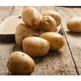 土豆种子的价格、雪原农业科技土豆种、河南土豆种