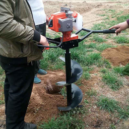 便携式挖坑机-天恒农业机械-便携式挖坑机现货销售