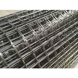 改拔丝电焊网*-改拔丝电焊网-润标丝网