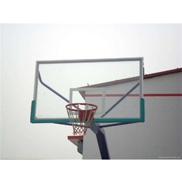少年篮球架的安装-奥祥文体厂家现货-台湾少年篮球架
