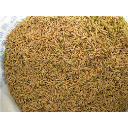 小麦水稻收割机-水稻收割机-中热农业机械