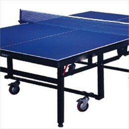 室内乒乓球台制造,征途体育(在线咨询),山东乒乓球台