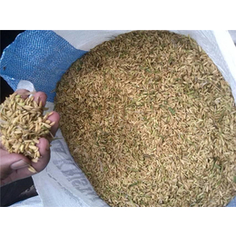水稻收割机-履带水稻收割机-中热农业机械(****商家)