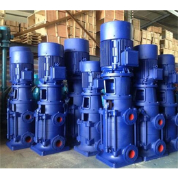 DL多级泵哪家好、强盛泵业多级泵、贵州DL多级泵