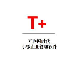 集美用友-用友软件价格-乐柠(****商家)