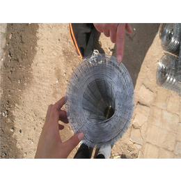 镀锌电焊网|电焊网|安平圣森