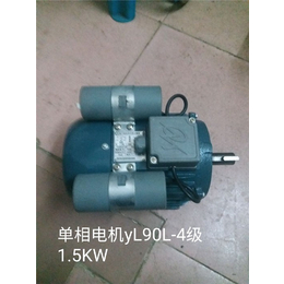 河源电动机生产厂家|广州煌速机电*|陶瓷电动机生产厂家