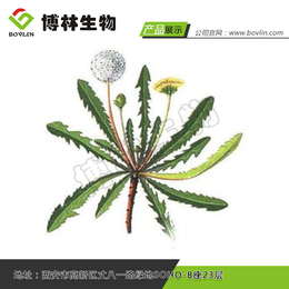 博林生物,植物提取物标准,植物提取物