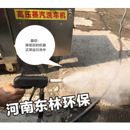 蒸汽洗车机报价_北京蒸汽洗车机_东林环保厂家(查看)